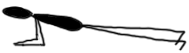 Dolphin Plank Pose icon