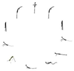 sun salutation poses in a circle